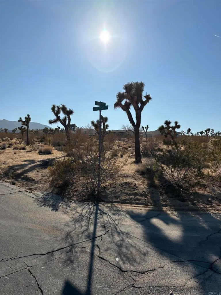 0 Division Street, Joshua Tree, CA — listing photo 1