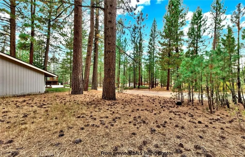 1662 Maiden Hair Ct, South Lake Tahoe, CA — listing photo 1