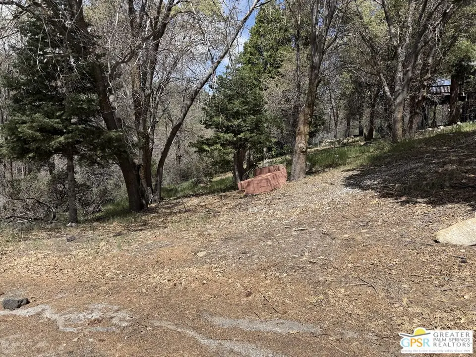 6032 Tripp Lane, Angelus Oaks, CA — listing photo 1