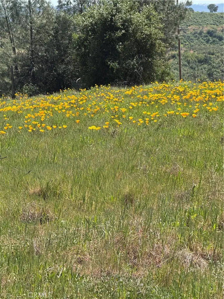 0 Round Valley Ranch Road, Paradise, CA — listing photo 1