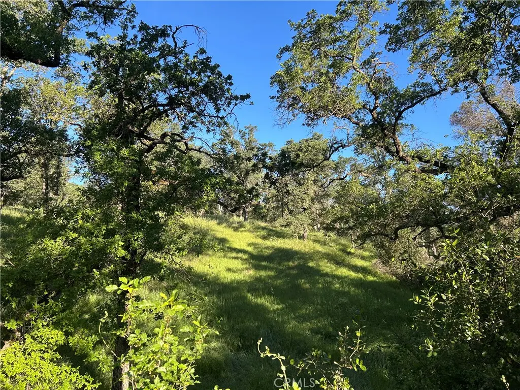 0 Rolling Oaks, Bangor, CA — listing photo 1