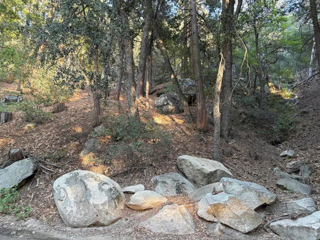 0 Tahquitz View Drive, Idyllwild, CA — listing photo 1