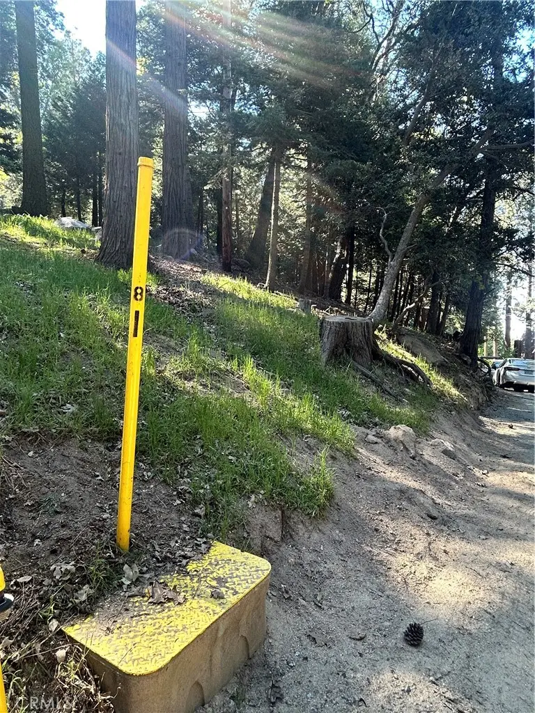 0 Forest Vw, Arrowhead, Twin Peaks, CA — listing photo 1