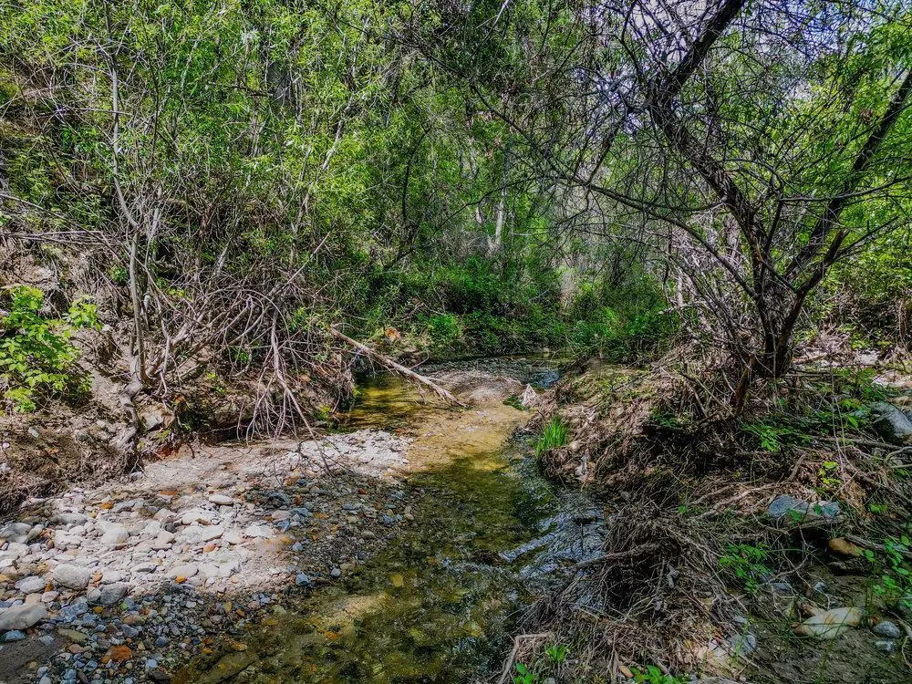 43575 Carmel Valley Road, Greenfield, CA — listing photo 1