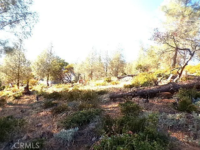 10070 El Capitan Way, Kelseyville, CA — listing photo 1
