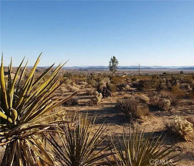 7275 Saddleback, Joshua Tree, CA — listing photo 1