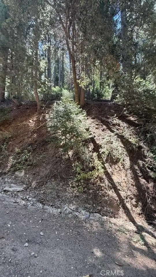 34207243 Mojave River Rd., Cedarpines Park, CA — listing photo 1