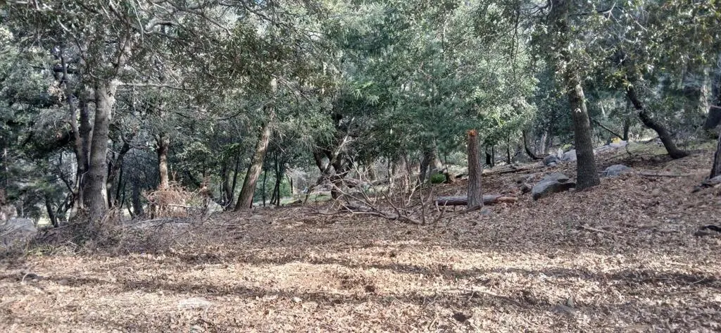 0 Alder Creek Road, Crestline, CA — listing photo 1