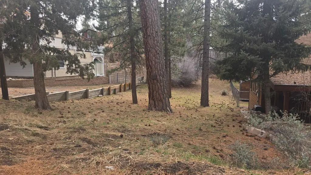 0 Conifer Conifer, Big Bear, CA — listing photo 1