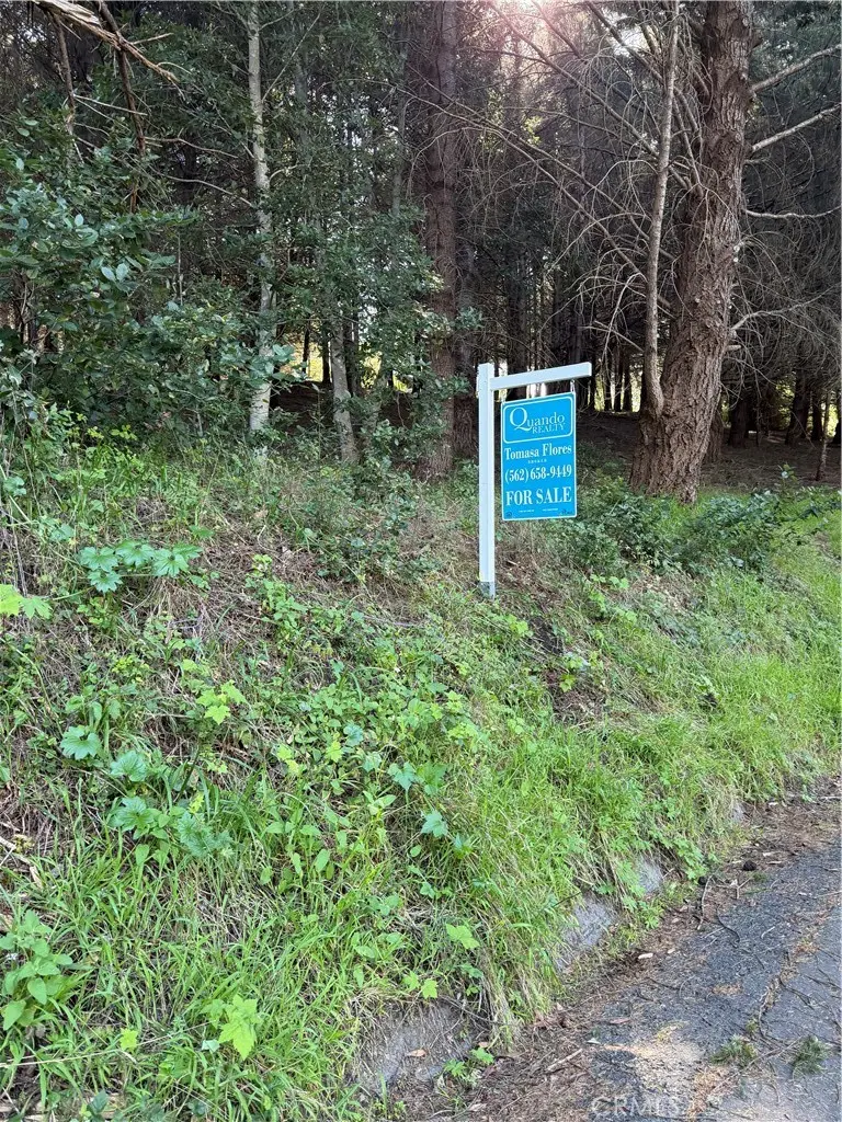 767 Spring Road, Shelter Cove, CA — listing photo 1