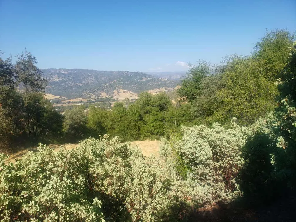29763 Stoney Creek, Tollhouse, CA — listing photo 1