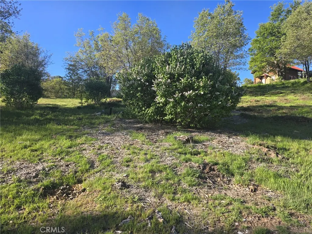 29783 Redwood, Cedar Glen, CA — listing photo 1