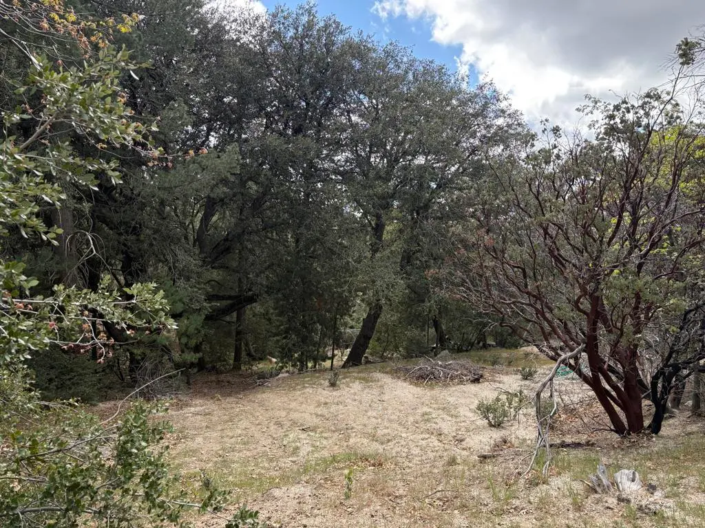 0 Schaffer Drive, Pine Cove, CA — listing photo 1