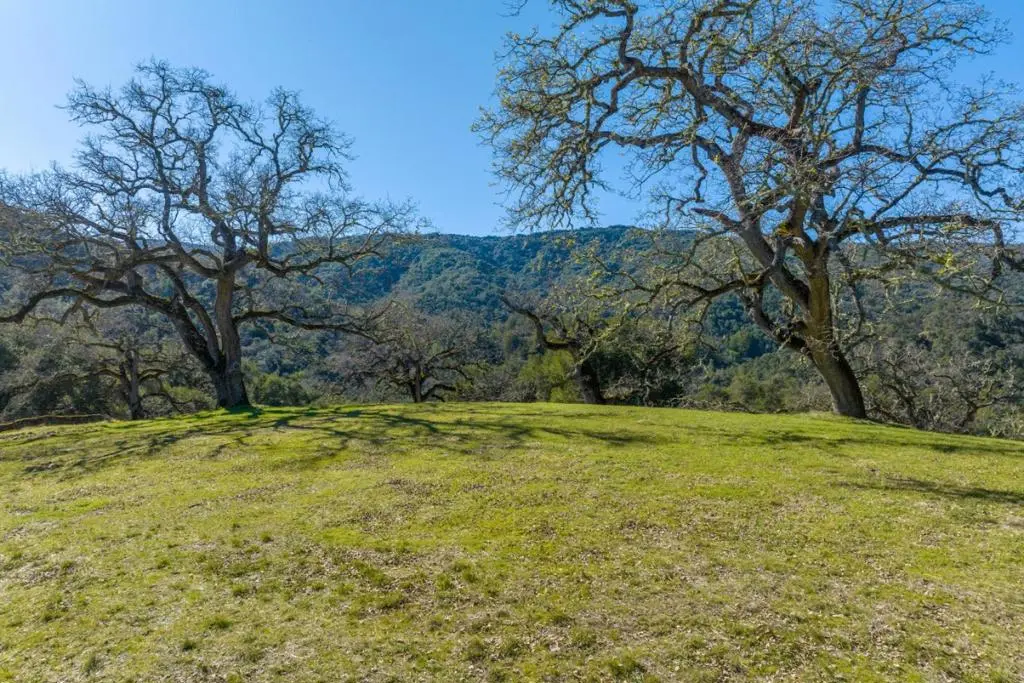 25 Arroyo Sequoia (Lot 108), Carmel, CA — listing photo 1