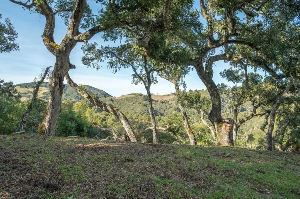 5 Vasquez (Lot 170) Trail, Carmel, CA — listing photo 1