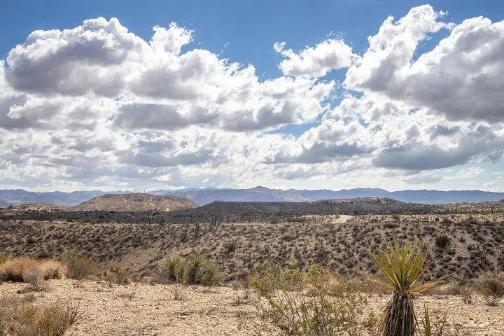 57352 Sunflower Drive, Yucca Valley, CA — listing photo 1