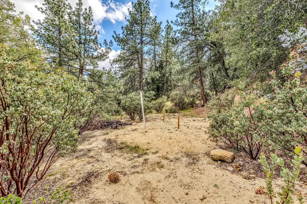 0 Lakeview Drive, Idyllwild, CA — listing photo 1