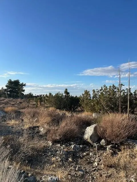 0 Yucca, Pinon Hills, CA — listing photo 1