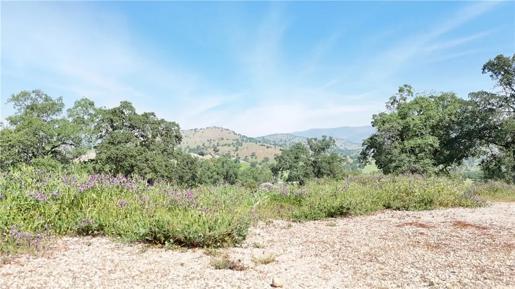 3295 Blue Oak Dr, Catheys Valley, CA — listing photo 1