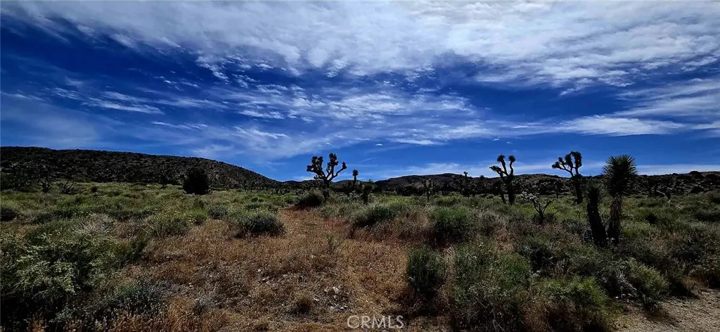 8900 Bainard Canyon Road, Littlerock, CA — listing photo 1