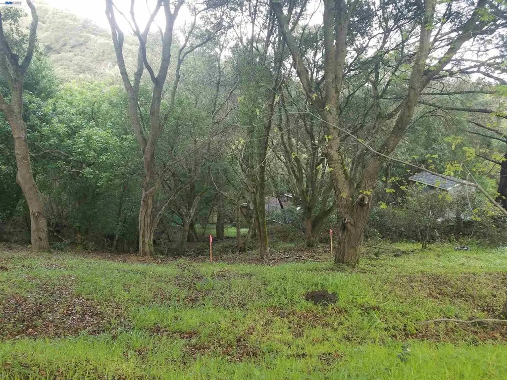 12 Vista Del Orinda, Orinda, CA — listing photo 1