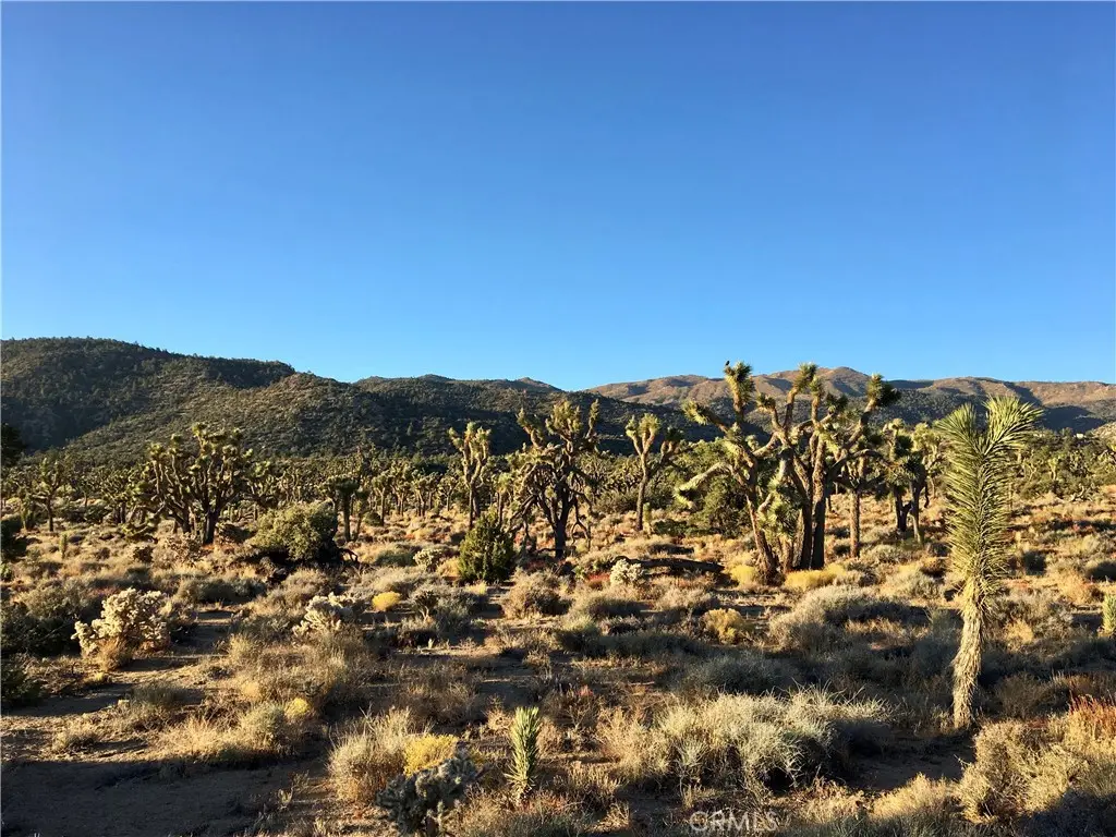 26 Vista Road, Pioneertown, CA — listing photo 1
