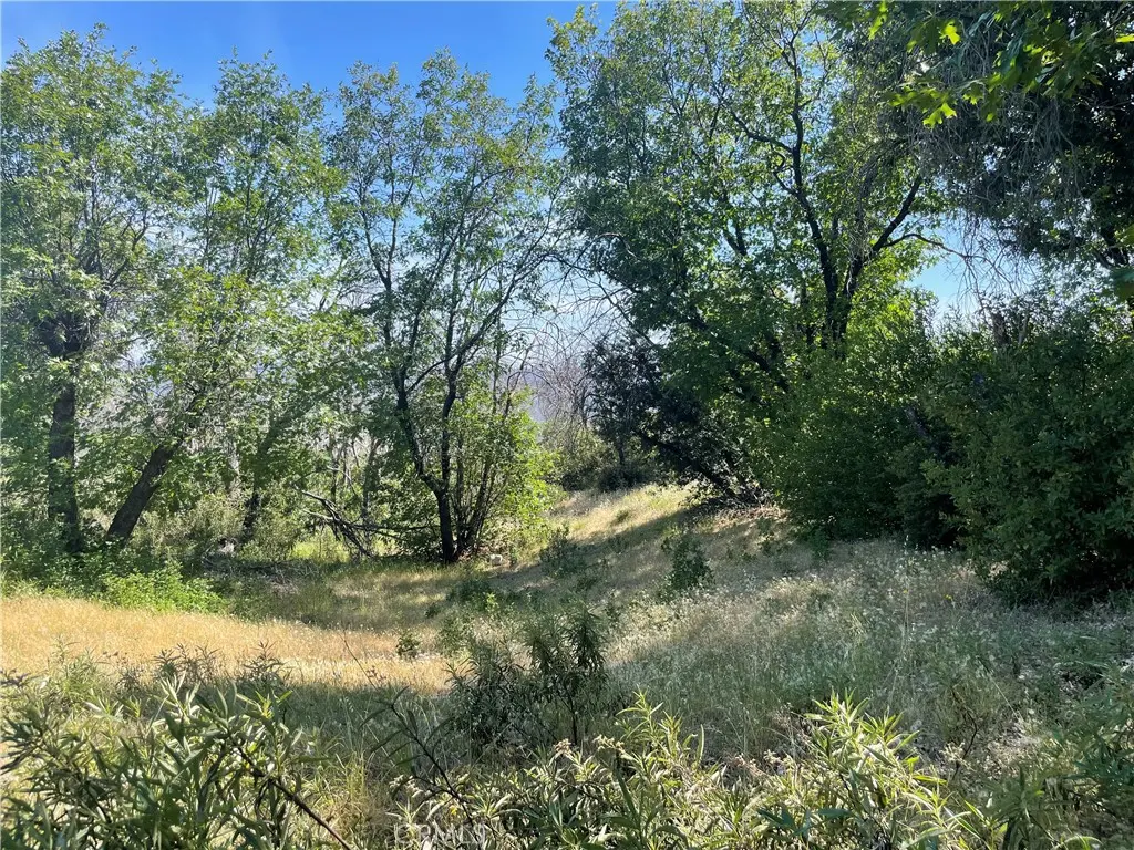 363 Raccoon Road, Berry Creek, CA — listing photo 1