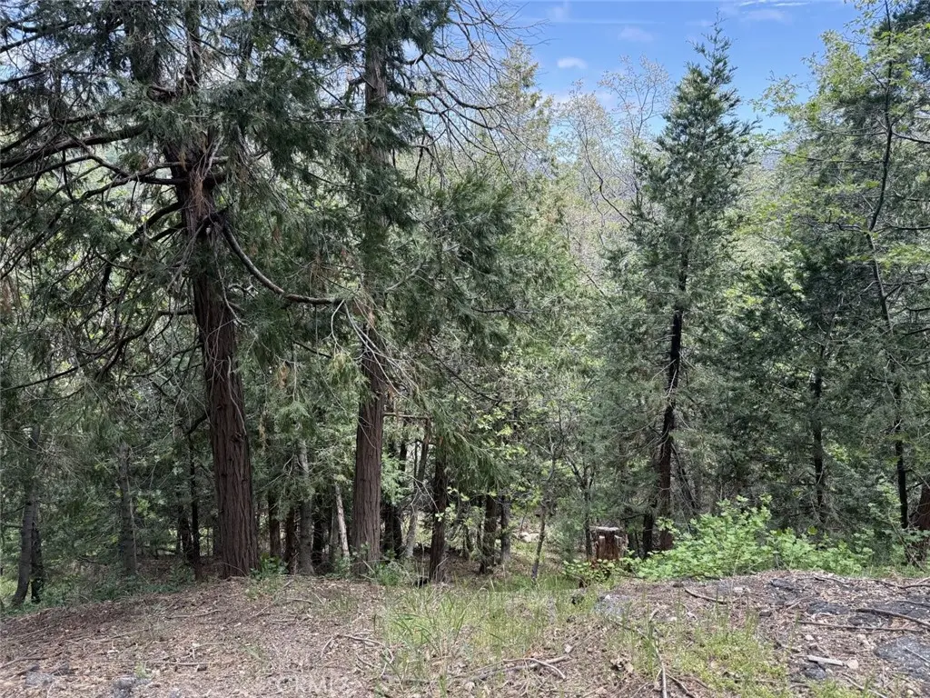 0 Alpine Court, Crestline, CA — listing photo 1