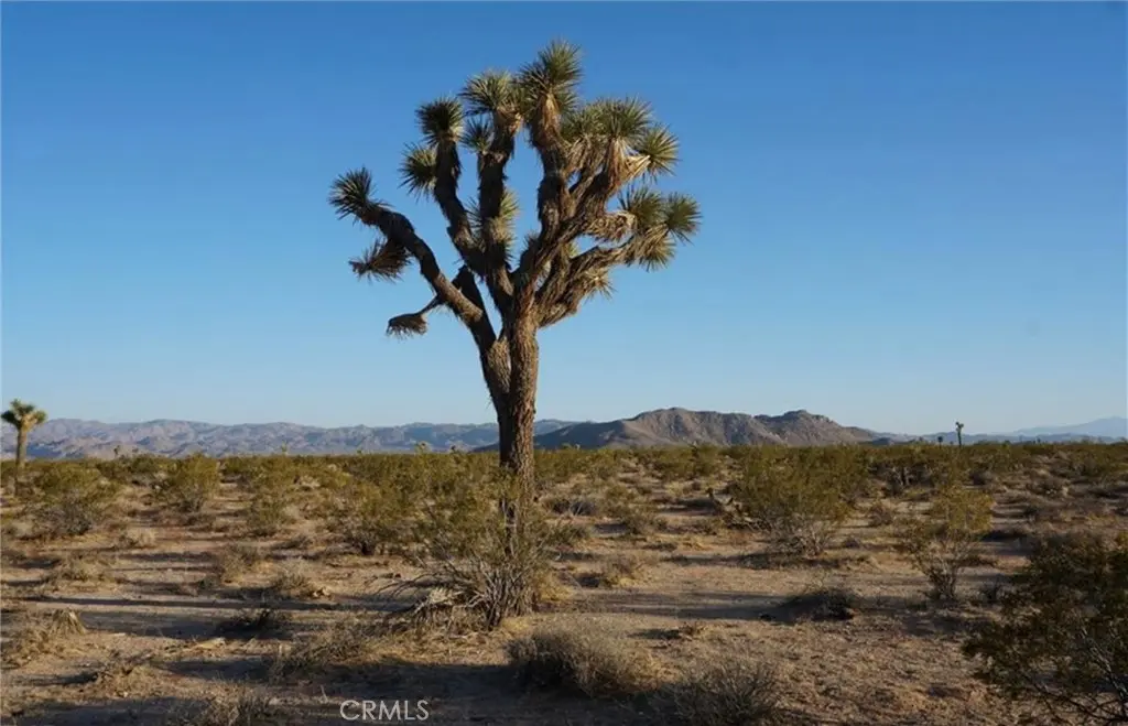 2172 Conejo Avenue, Joshua Tree, CA — listing photo 1