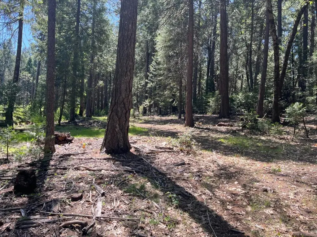 Address available on request, Nevada City, CA — listing photo 1
