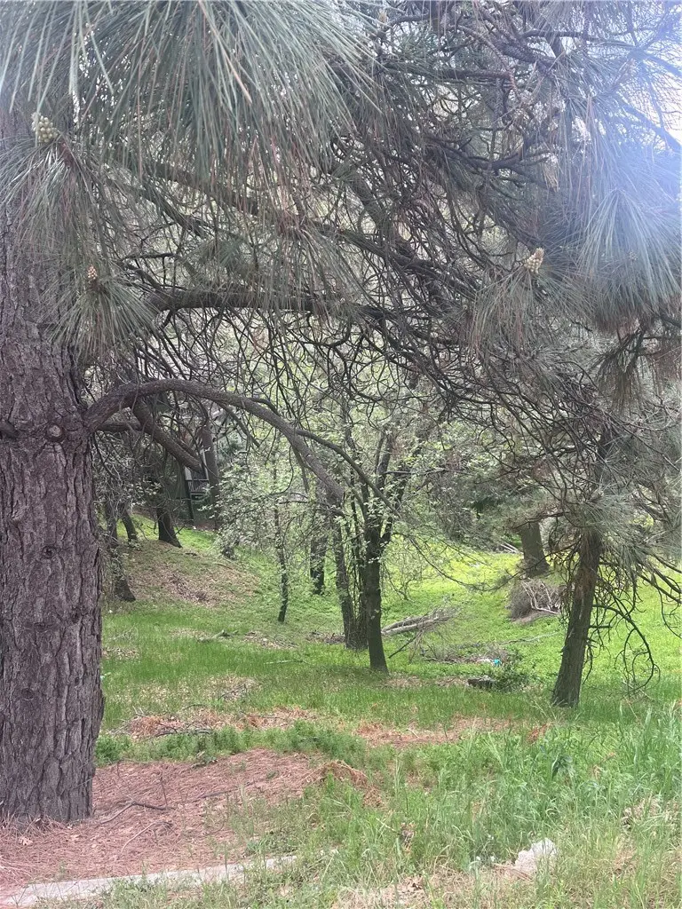0 Jewel, Crestline, CA — listing photo 1