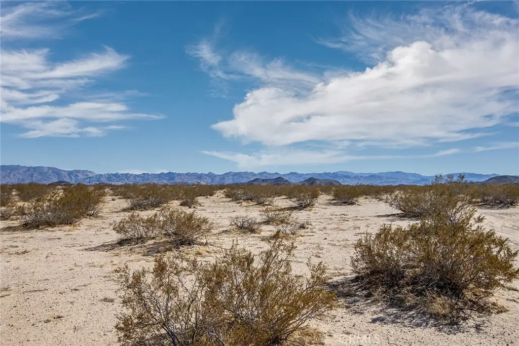 1300 Mt Shasta, Joshua Tree, CA — listing photo 1