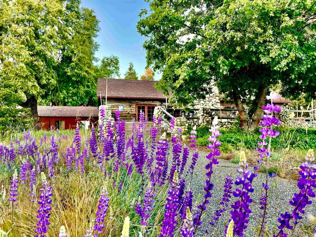 22228 Crestline Road, Palomar Mountain, CA — listing photo 1