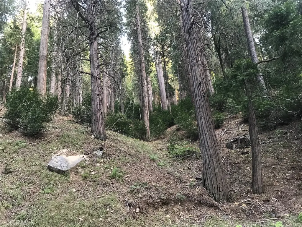 0 Mojave River, Cedarpines Park, CA — listing photo 1