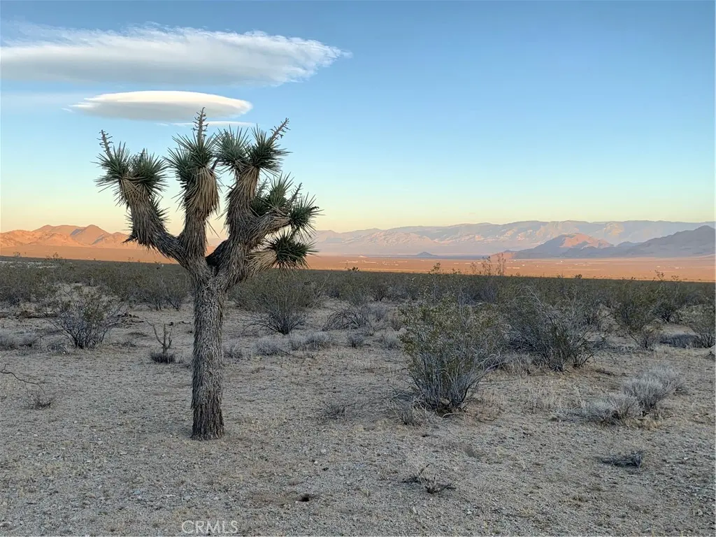 0 VL Near Lucerne Valley Cutoff, Barstow, CA — listing photo 1