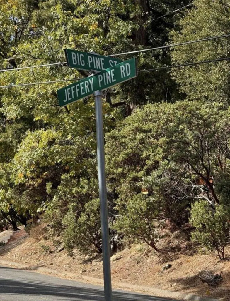 53642 Jeffrey Pine Court, Idyllwild, CA — listing photo 1