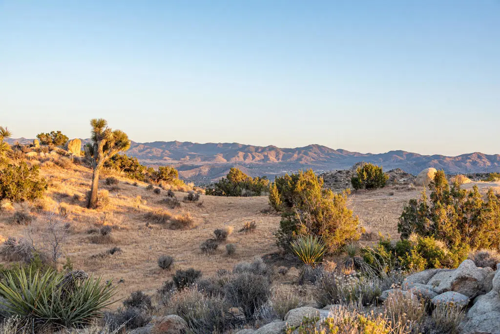 56765 Sable Court, Yucca Valley, CA — listing photo 1