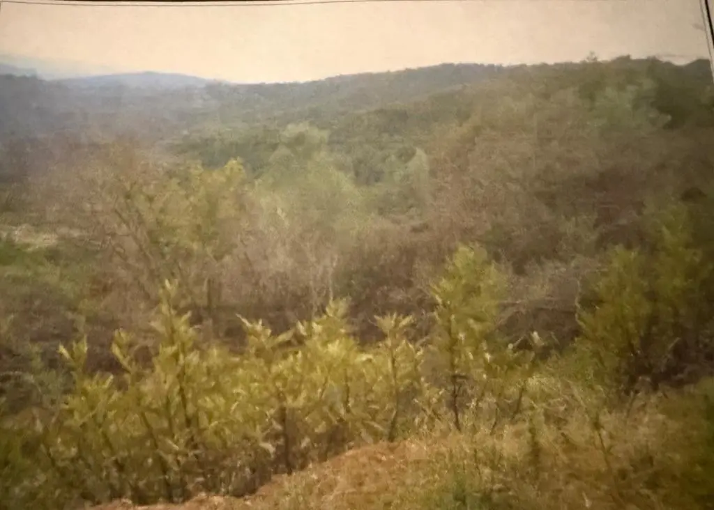 0 Croy Ridge Road, Morgan Hill, CA — listing photo 1