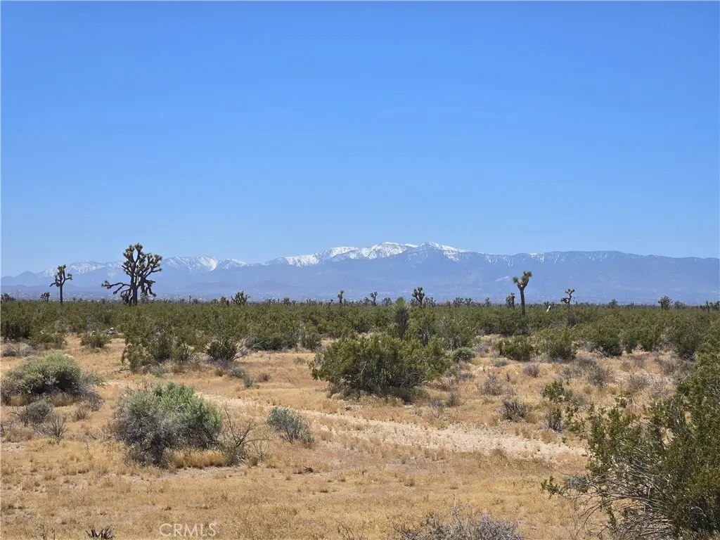 10 Acres Beaver Avenue, Adelanto, CA — listing photo 1