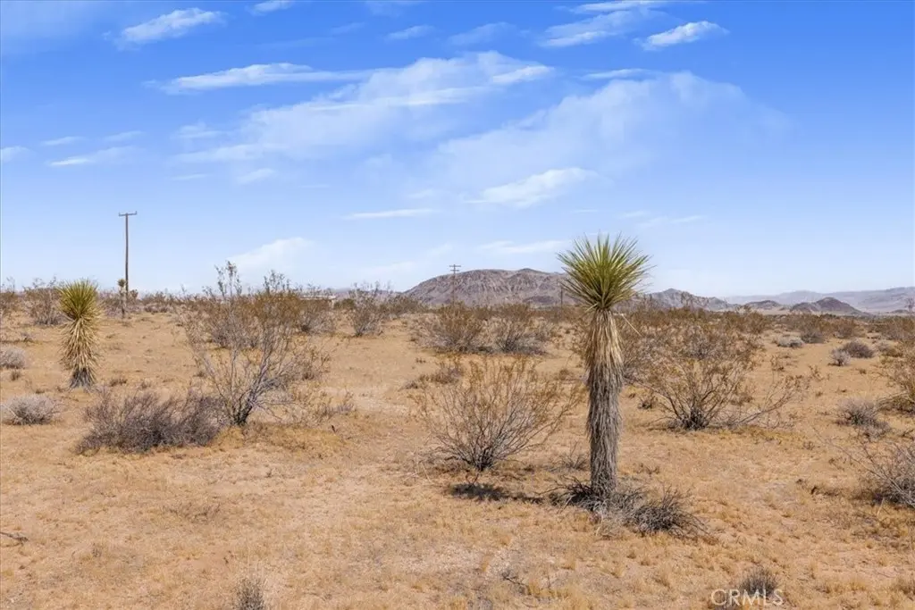 3 Ducor Avenue, Landers, CA — listing photo 1