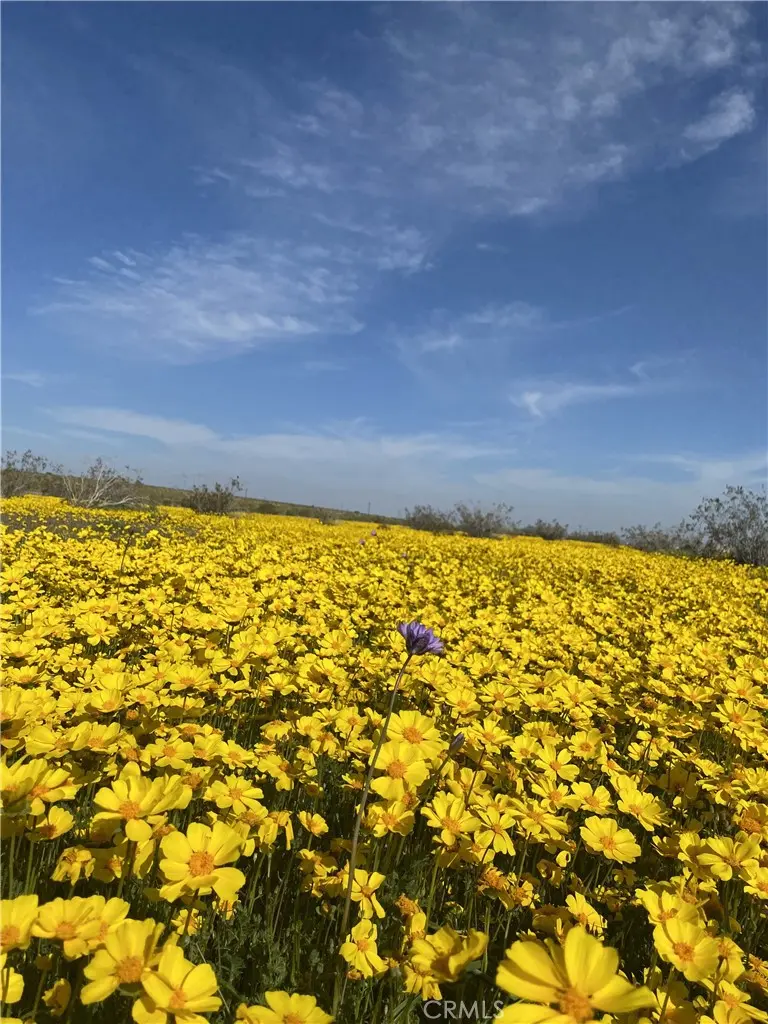 0 Vacant Land, Mojave, CA — listing photo 1