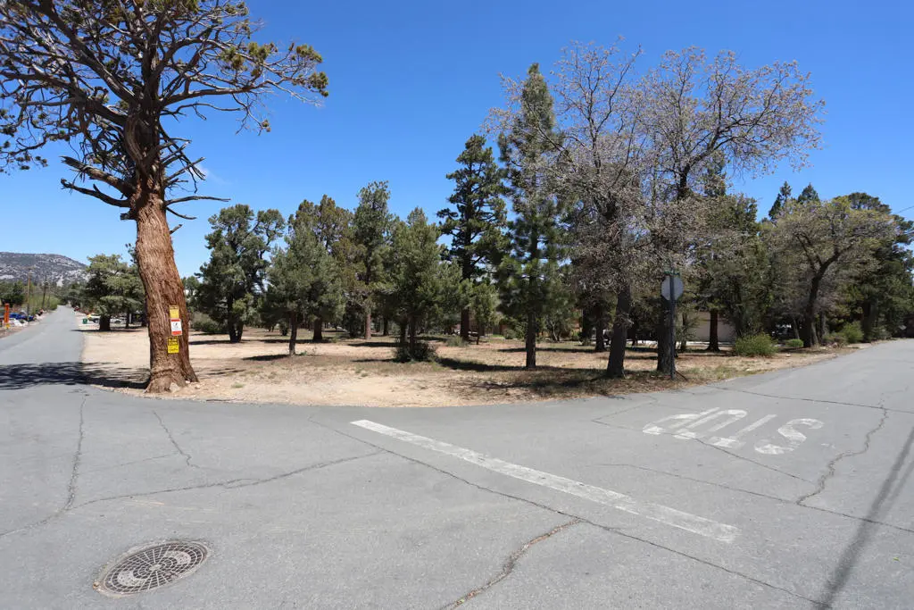 0 Dixie Lee, Sugarloaf, CA — listing photo 1