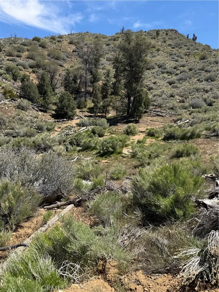 0 310-040-017 Pine Creek Valley Road, Kennedy Meadows, CA — listing photo 1