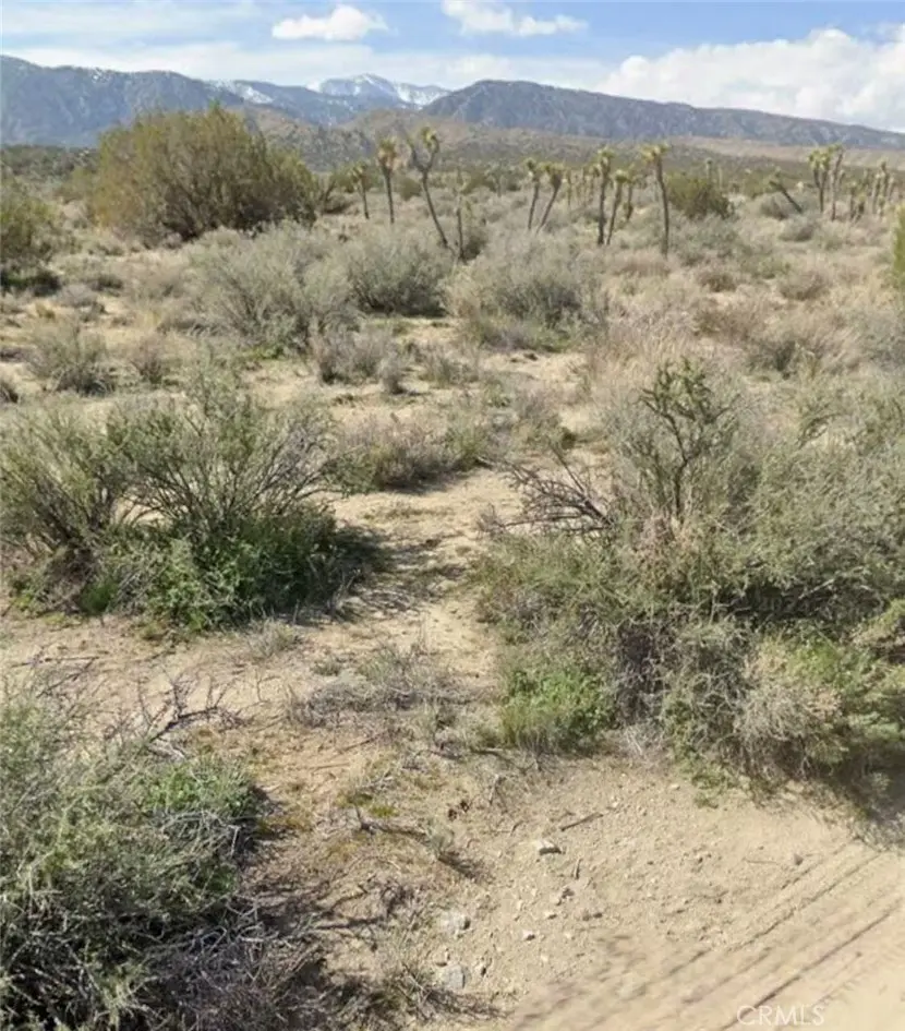0 E Avenue Z, Llano, CA — listing photo 1