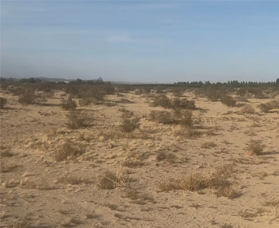 40626 Valley Center, Newberry Springs, CA — listing photo 1