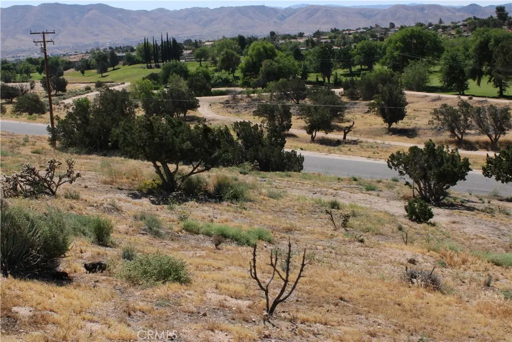 0 Buckthorn, Hesperia, CA — listing photo 1
