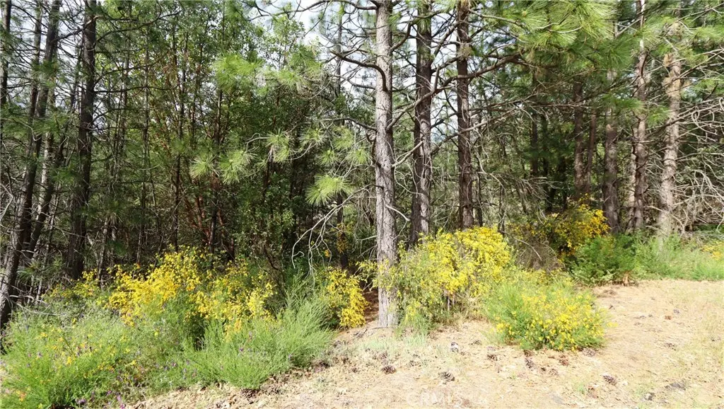 9072 Fox Drive, Cobb, CA — listing photo 1