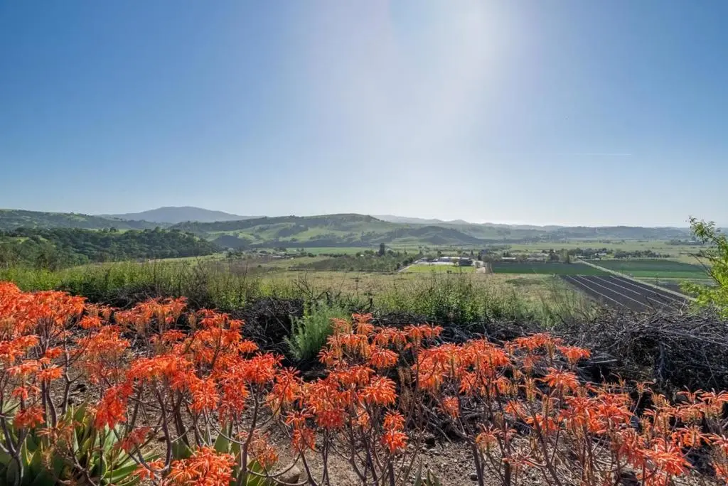 5181 Southside Road, Hollister, CA — listing photo 1