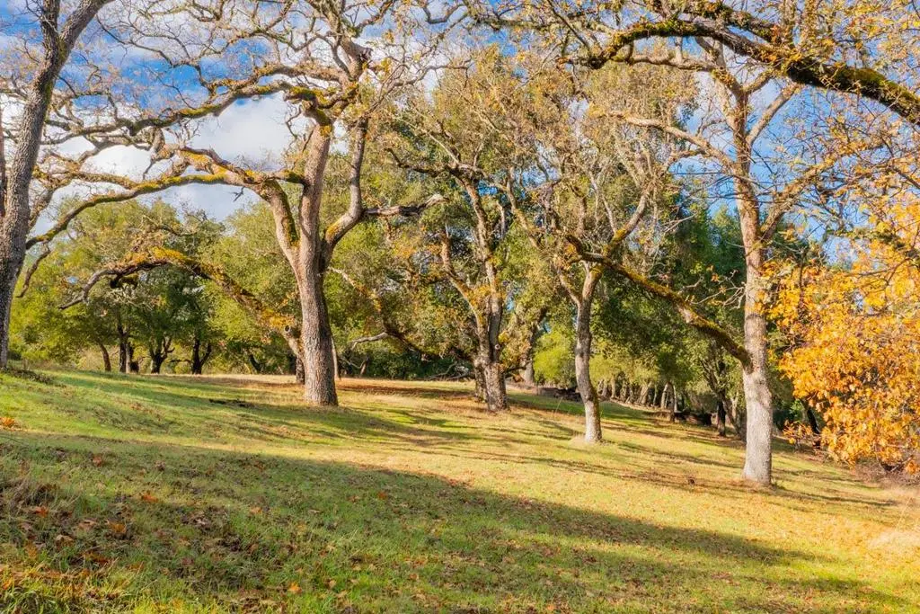 36 Arroyo Sequoia (Lot 117), Carmel, CA — listing photo 1