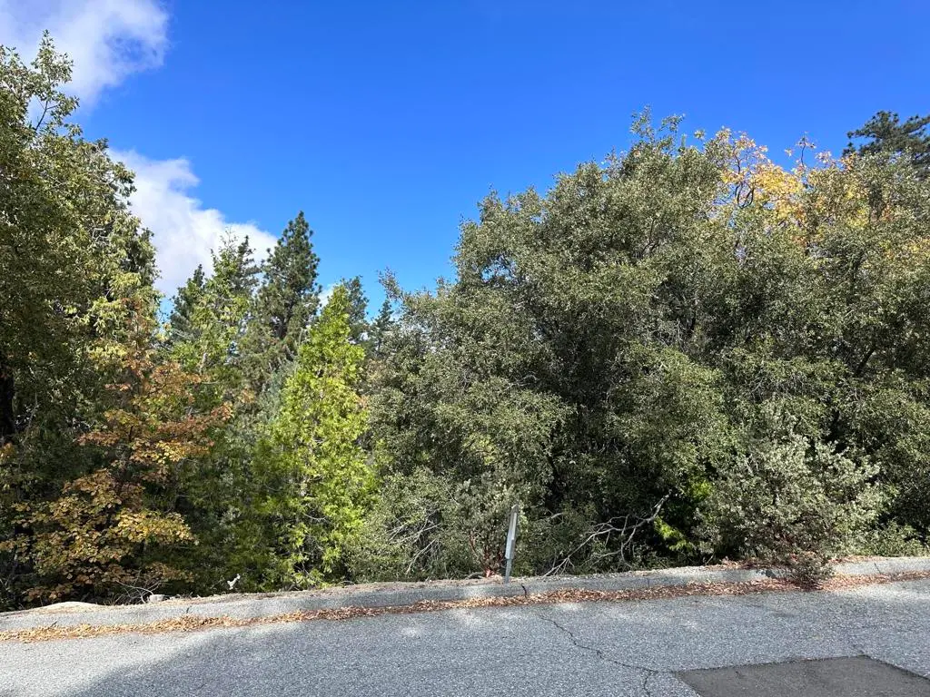 Address available on request, Idyllwild, CA — listing photo 1
